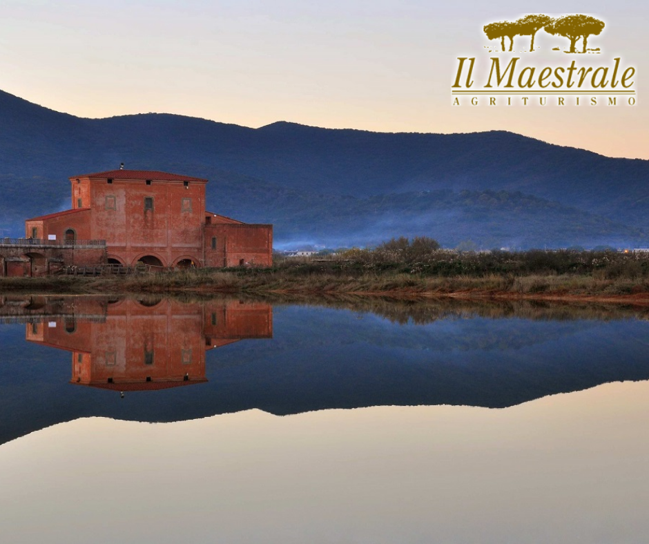 agriturismo in maremma toscana. il maestrale. diaccia botrona