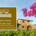 Offerta ponte 2 Giugno