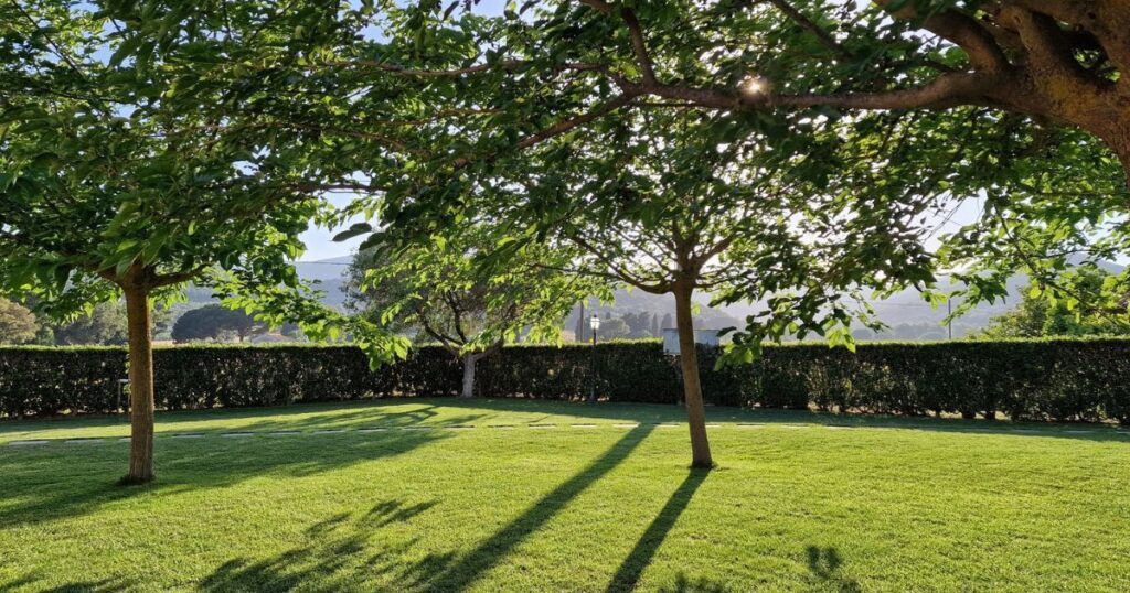 Offerta Giugno 2025 - Agriturismo Il Maestrale Castiglione della Pescaia