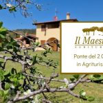 Agriturismo ponte 2 giugno Toscana