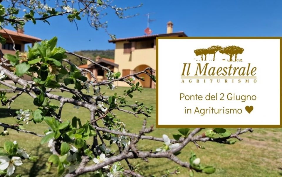 Vacanze Ponte 2 Giugno Toscana Agriturismo Il Maestrale