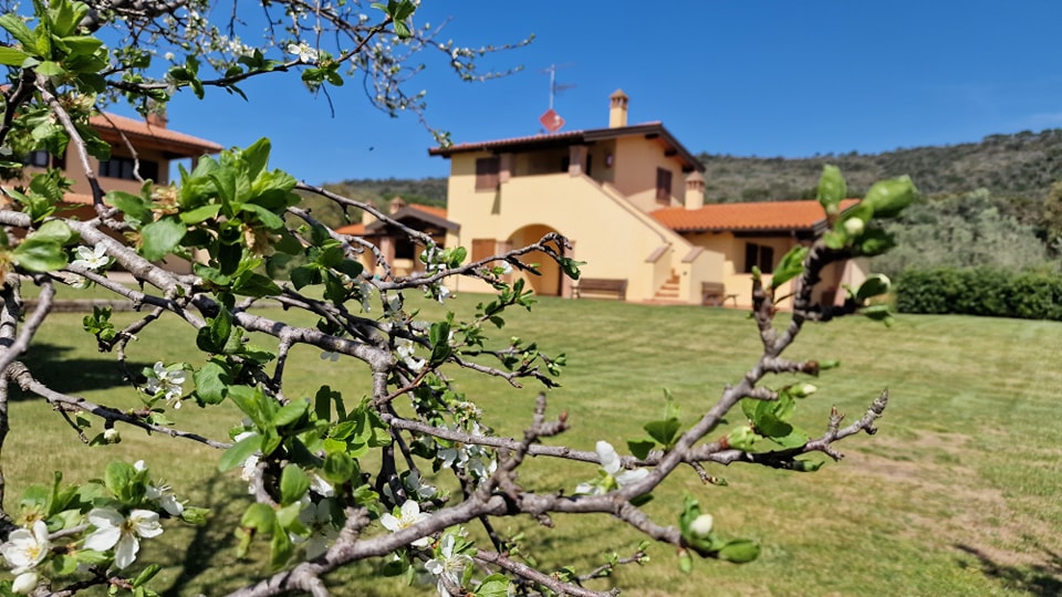 Vacanze Ponte 2 Giugno Toscana Agriturismo Il Maestrale Castiglione della Pescaia